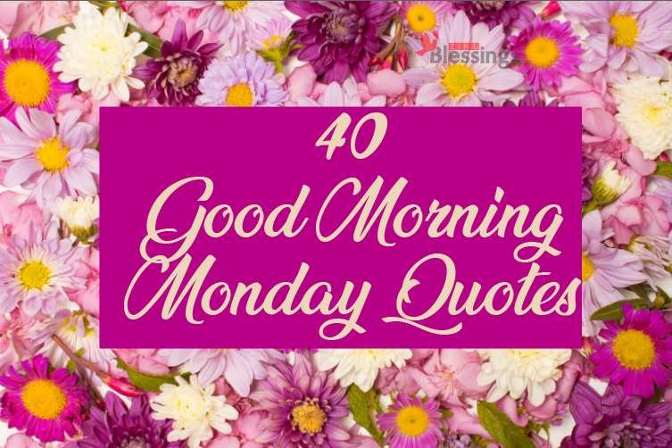All About 40 Positive Good Morning Monday Quotes to Inspire Your Week 40 Good Morning Monday Quotes
